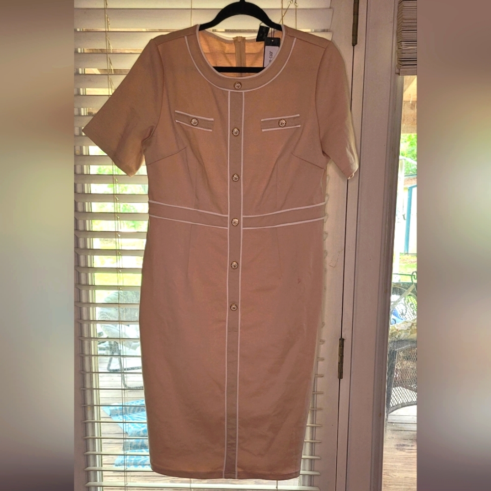 Smart and Feminine Dress